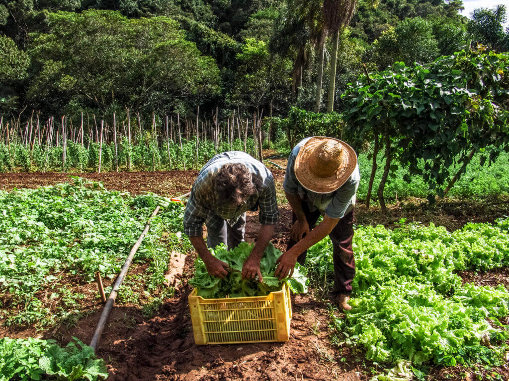 A propriedade rural necessita de licenças para funcionar como um negócio