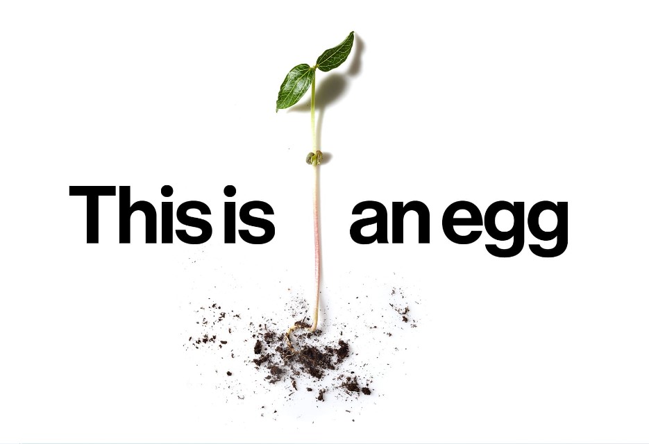 Just Egg: Startup aposta em diversidade de plantas para criar opções de alimentos veganos.